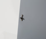 Keenware KVU-023 Kensington Traditional Back To Wall Toilet Unit